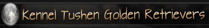Kennel Tushen Golden Retrievers